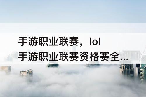 手游职业联赛，lol手游职业联赛资格赛全国赛