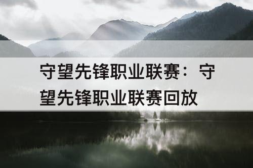 守望先锋职业联赛：守望先锋职业联赛回放