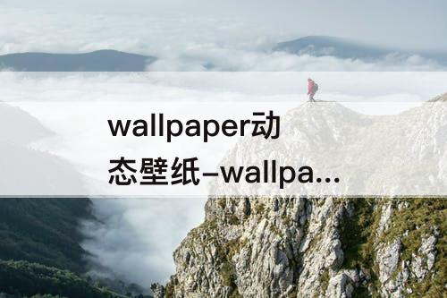 wallpaper动态壁纸-wallpaper动态壁纸下载PC软件