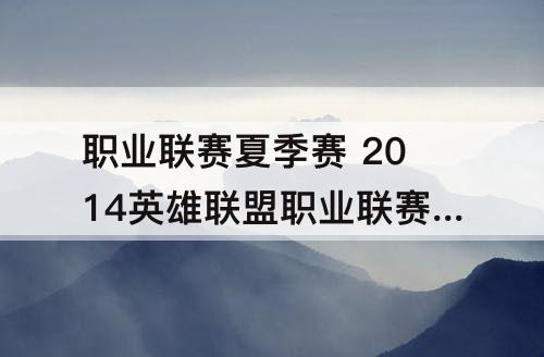 职业联赛夏季赛 2014英雄联盟职业联赛夏季赛
