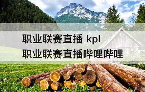 职业联赛直播 kpl职业联赛直播哔哩哔哩