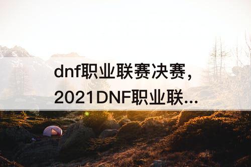 dnf职业联赛决赛，2021DNF职业联赛决赛