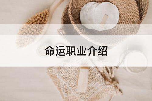 命运职业介绍