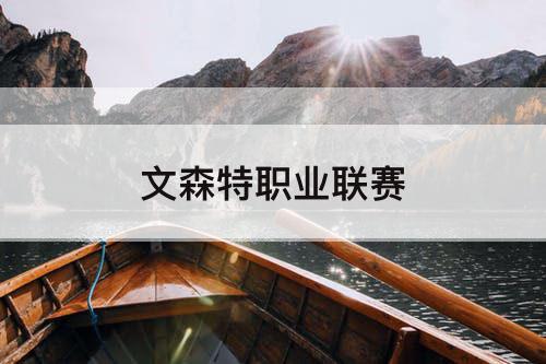 文森特职业联赛