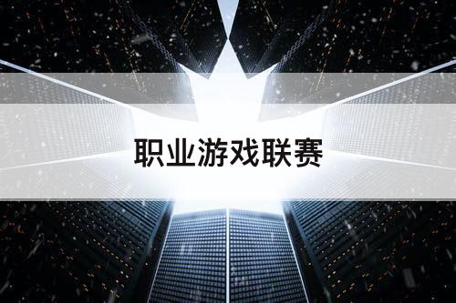 职业游戏联赛
