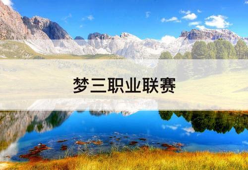 梦三职业联赛