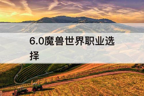 6.0魔兽世界职业选择