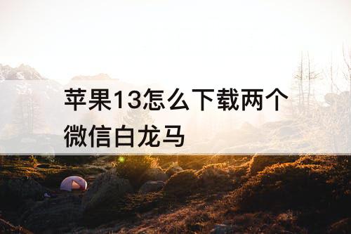苹果13怎么下载两个微信白龙马