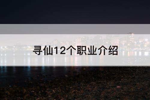 寻仙12个职业介绍