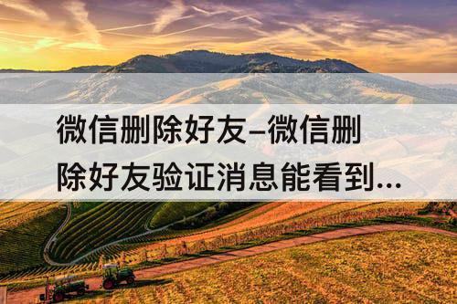 微信删除好友-微信删除好友验证消息能看到吗