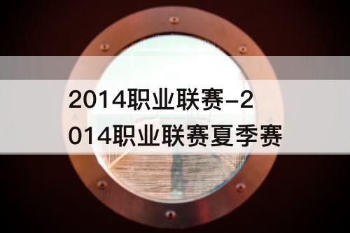 2014职业联赛-2014职业联赛夏季赛