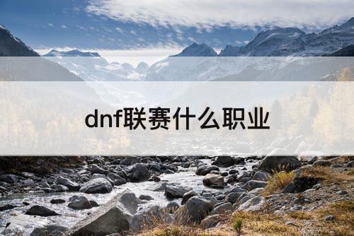 dnf联赛什么职业