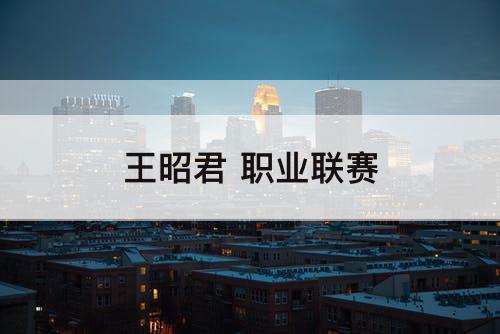 王昭君 职业联赛
