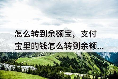 怎么转到余额宝，支付宝里的钱怎么转到余额宝里