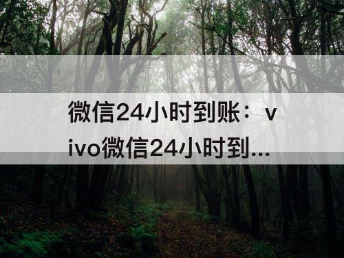 微信24小时到账：vivo微信24小时到账怎么设置