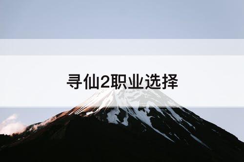 寻仙2职业选择