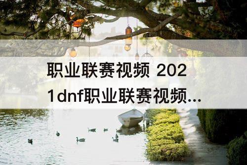 职业联赛视频 2021dnf职业联赛视频回放