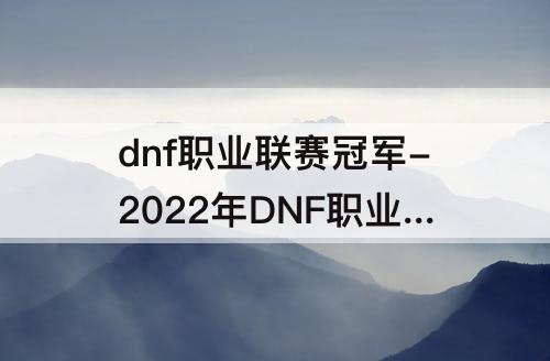 dnf职业联赛冠军-2022年DNF职业联赛冠军