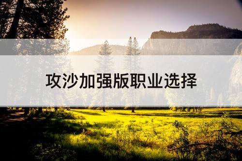 攻沙加强版职业选择