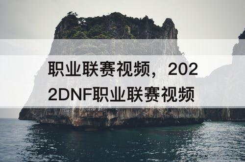 职业联赛视频，2022DNF职业联赛视频