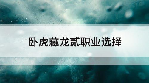 卧虎藏龙贰职业选择