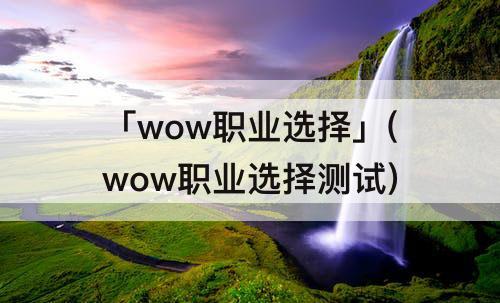 「wow职业选择」(wow职业选择测试)