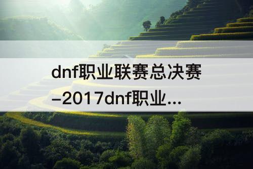 dnf职业联赛总决赛-2017dnf职业联赛总决赛