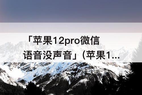 「苹果12pro微信语音没声音」(苹果12pro微信语音没声音怎么办)