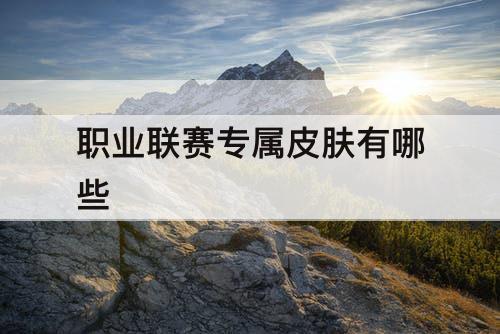 职业联赛专属皮肤有哪些