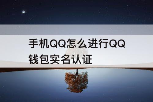 手机QQ怎么进行QQ钱包实名认证