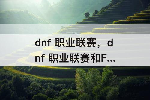 dnf 职业联赛，dnf 职业联赛和F 1哪个含金量高