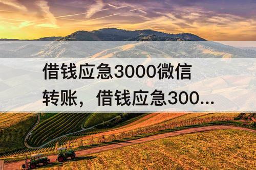 借钱应急3000微信转账，借钱应急3000微信转账怎么还