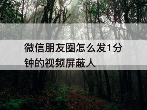 微信朋友圈怎么发1分钟的视频屏蔽人
