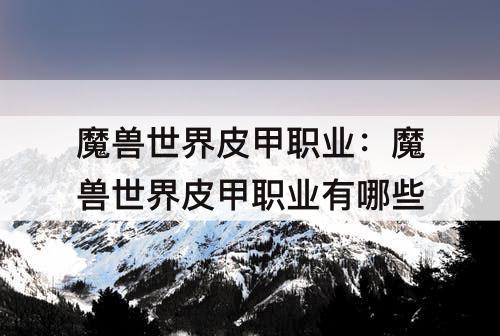 魔兽世界皮甲职业：魔兽世界皮甲职业有哪些