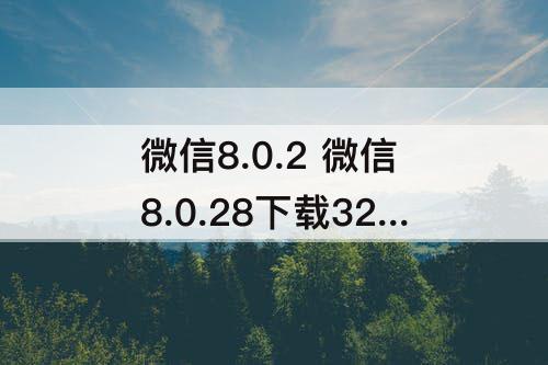 微信8.0.2 微信8.0.28下载32位