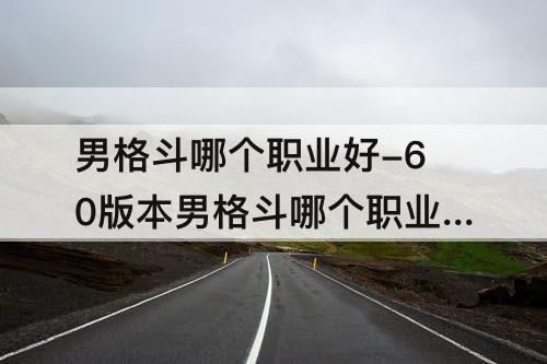 男格斗哪个职业好-60版本男格斗哪个职业好