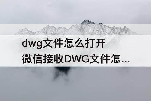 dwg文件怎么打开 微信接收DWG文件怎么打开