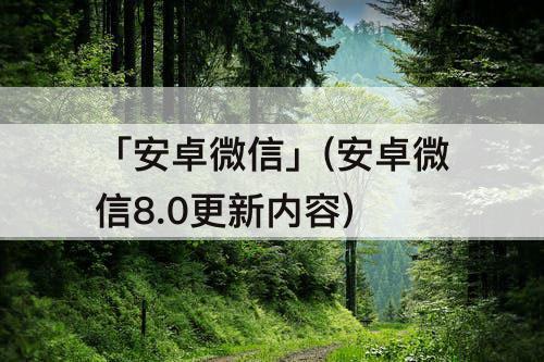 「安卓微信」(安卓微信8.0更新内容)