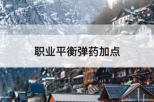 职业平衡弹药加点