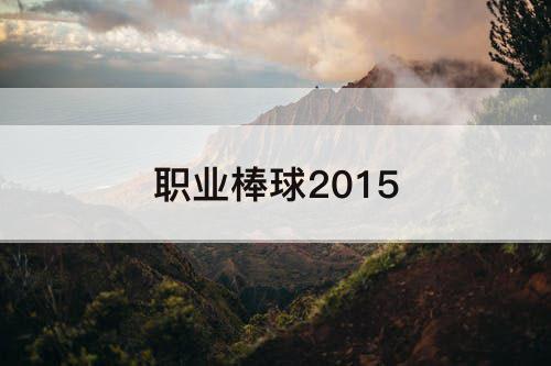 职业棒球2015