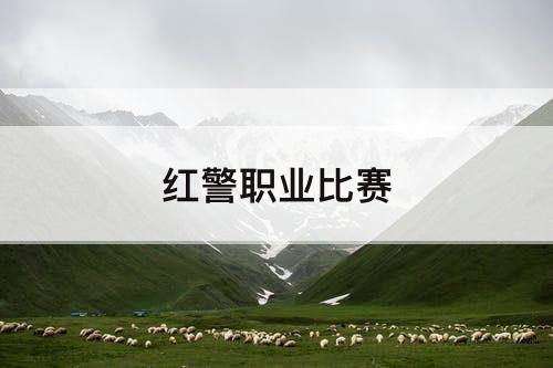 红警职业比赛