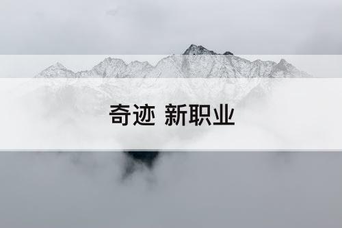 奇迹 新职业