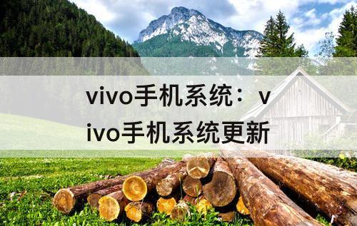 vivo手机系统：vivo手机系统更新