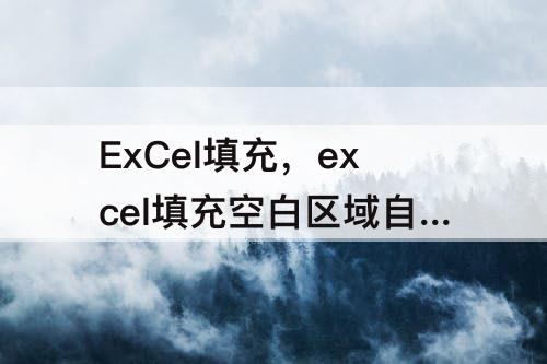 ExCel填充，excel填充空白区域自动填充