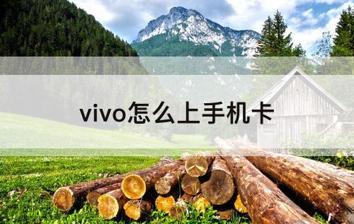 vivo怎么上手机卡