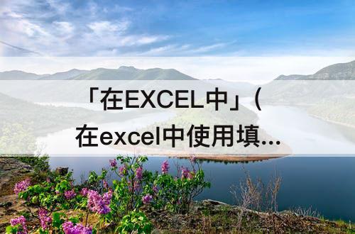 「在EXCEL中」(在excel中使用填充柄将单元格b1中的公式)