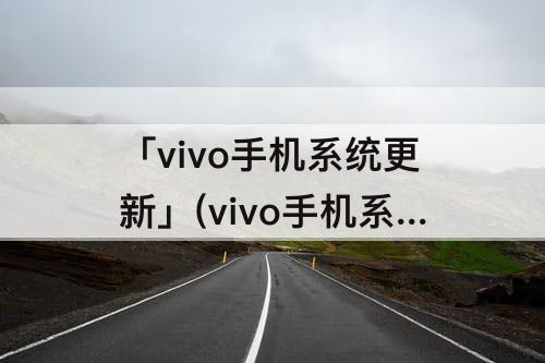 「vivo手机系统更新」(vivo手机系统更新好吗?)