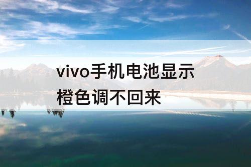 vivo手机电池显示橙色调不回来