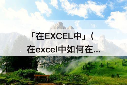 「在EXCEL中」(在excel中如何在单元格里加入斜线)