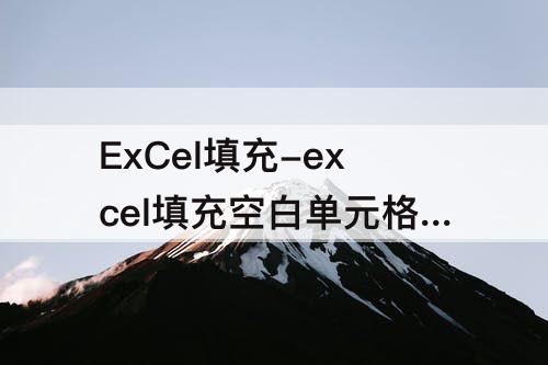 ExCel填充-excel填充空白单元格 文本